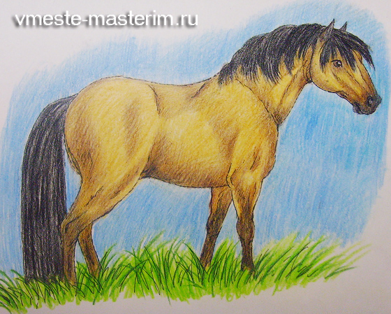 Как нарисовать лошадь поэтапно карандашом (мастер-класс)