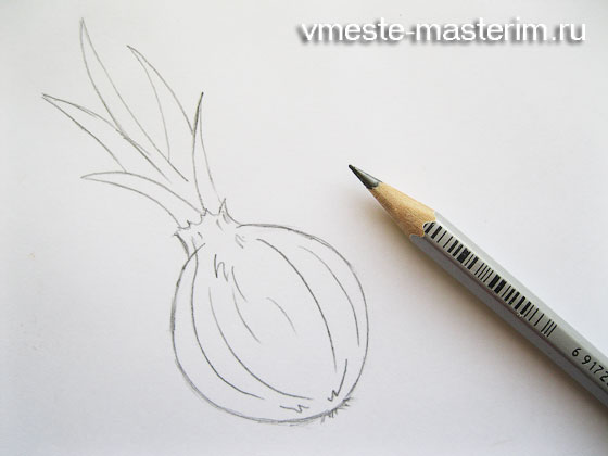 Как нарисовать лук карандашом поэтапно (мастер-класс)