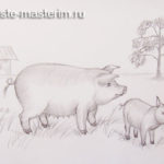 Как нарисовать свинью и поросенка