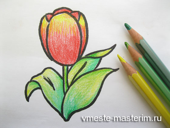 Как нарисовать тюльпан поэтапно карандашом (мастер-класс)