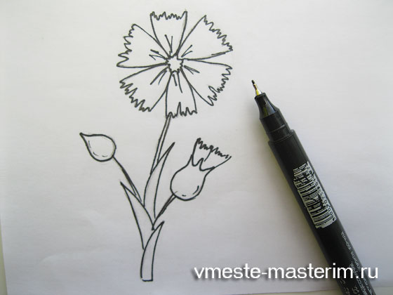Как нарисовать васильки карандашом поэтапно (мастер-класс)