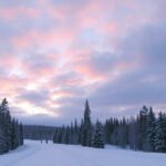 Туры в Архангельск: где северная суровость встречается с открытой душой Поморья