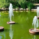 Плавающие фонтаны для пруда: как выбрать, установить и наслаждаться видом